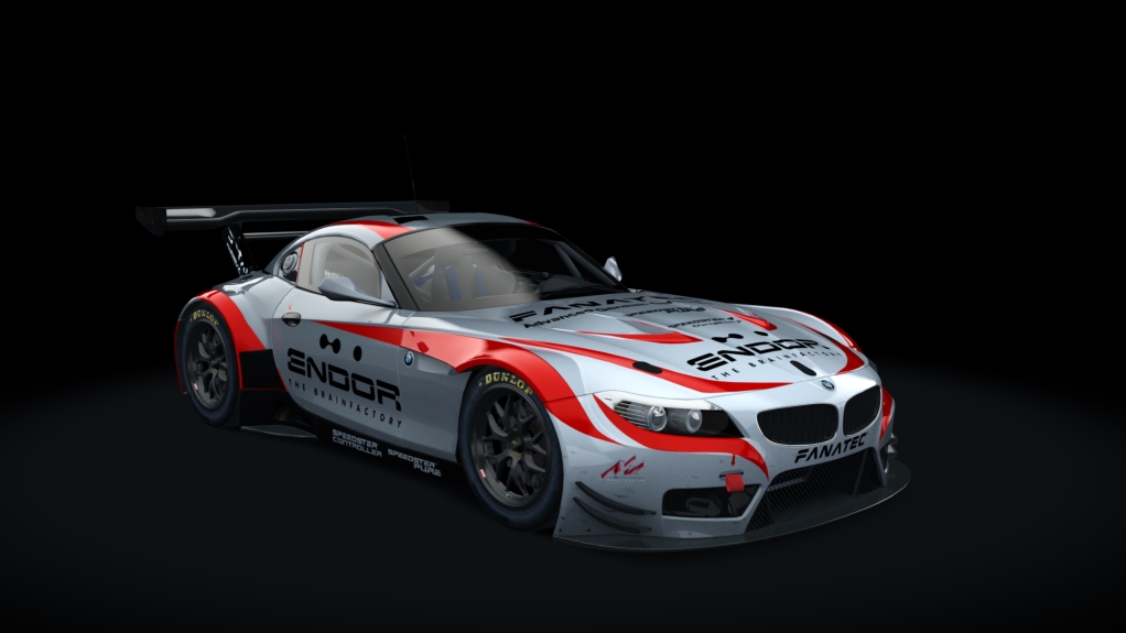 BMW Z4 GT3, skin fanatec